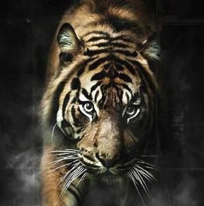 Meet your Posher, Scott